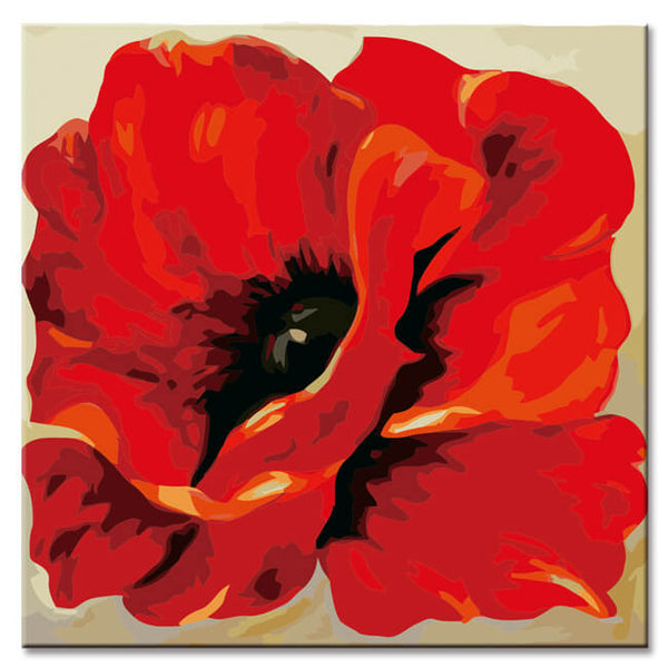 Malen nach Zahlen Klatschmohn Coquelicot