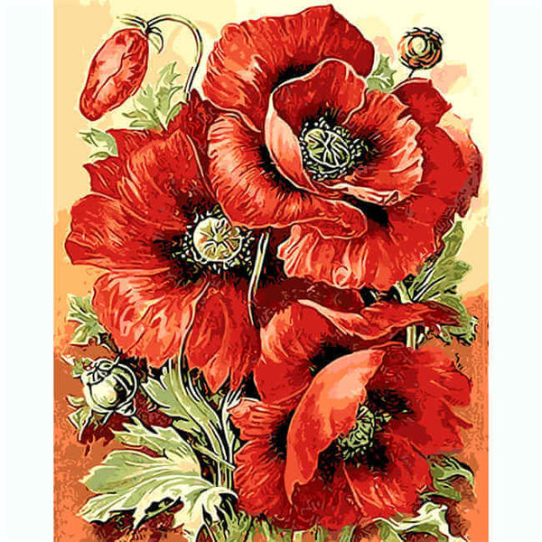 Bilder Malen nach Zahlen Mohnblumen