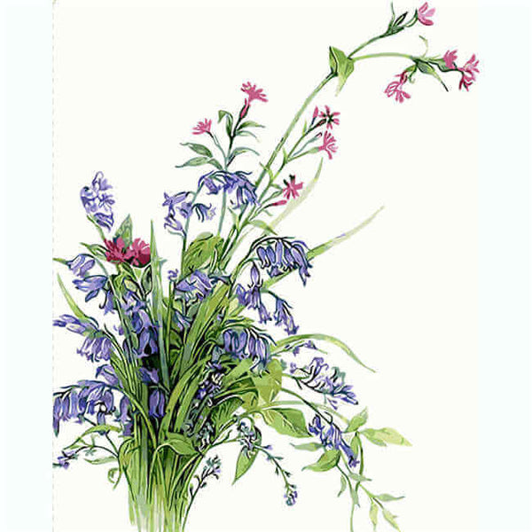Malen nach zahlen wiesenblumen