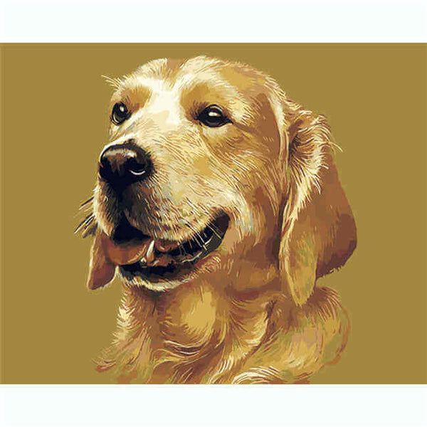 Malen nach zahlen hund beiger labrador