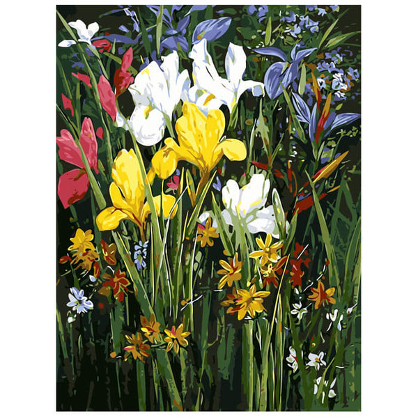 Malen nach zahlen bilder bunte blumenwiese