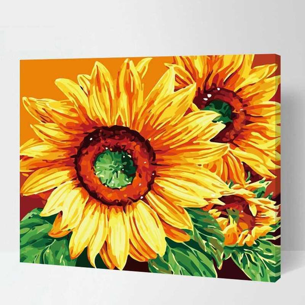 Malen nach zahlen sonnenblumen