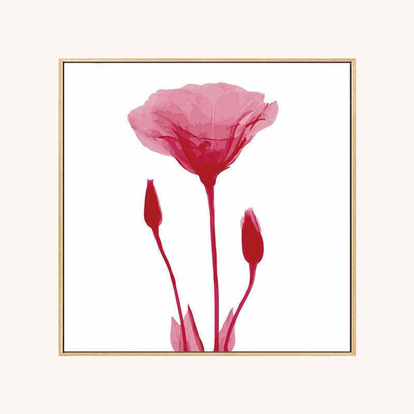 Malen nach zahlen rote blume